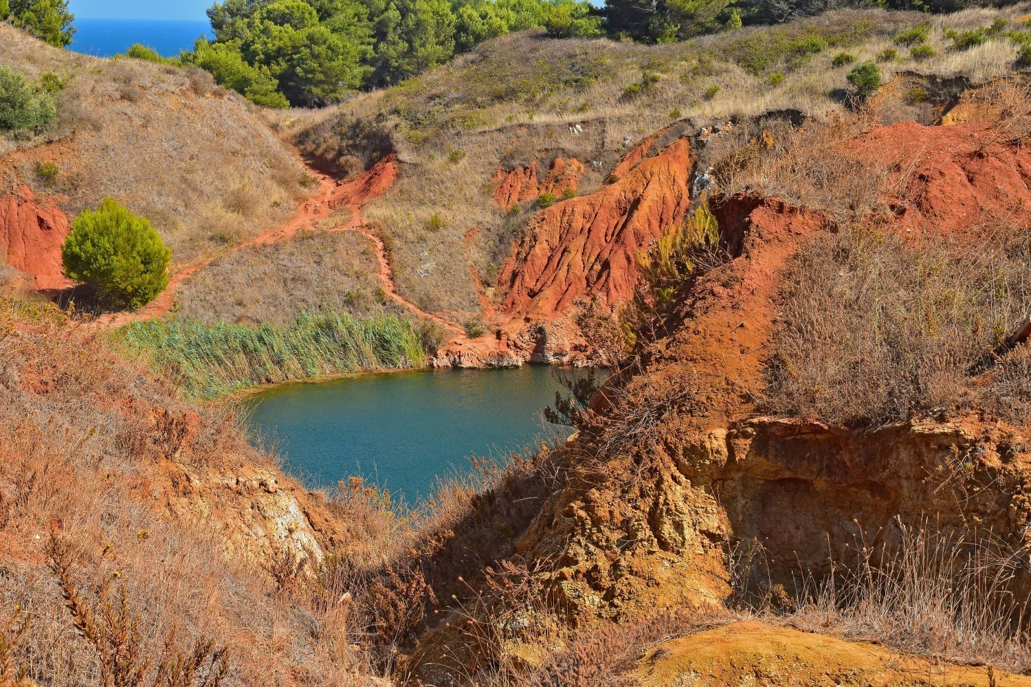 bauxite-exploration