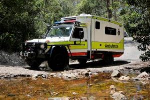 angus-ambo-1